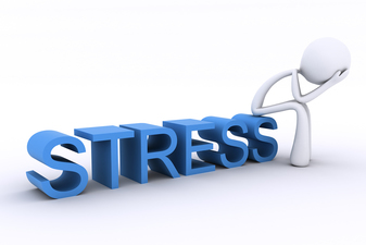 Stress the physical and mental effects of stress